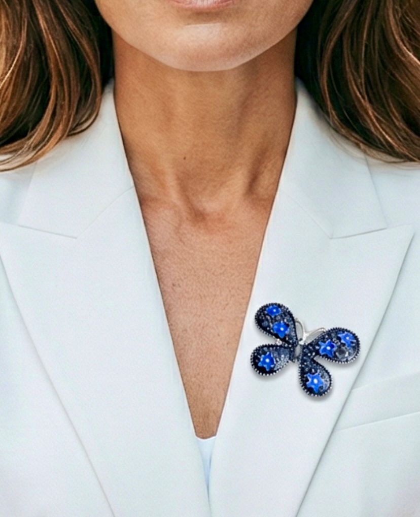 Siyah ve Mavi Mineli Gümüş Renk Kelebek Broş